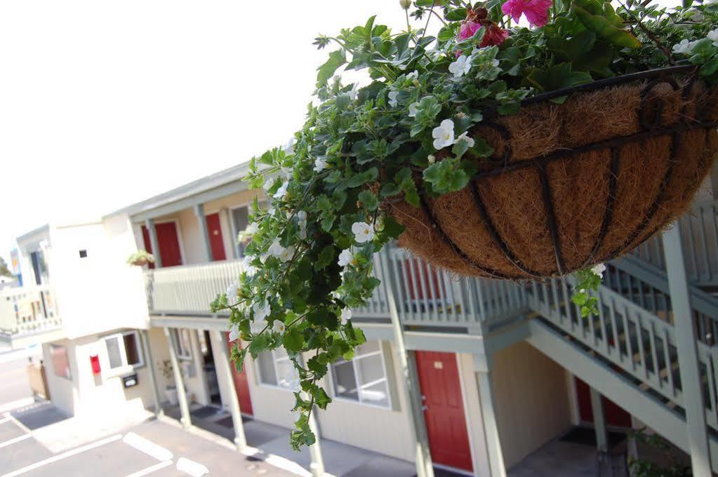 Sandy Cove Inn シーサイド エクステリア 写真